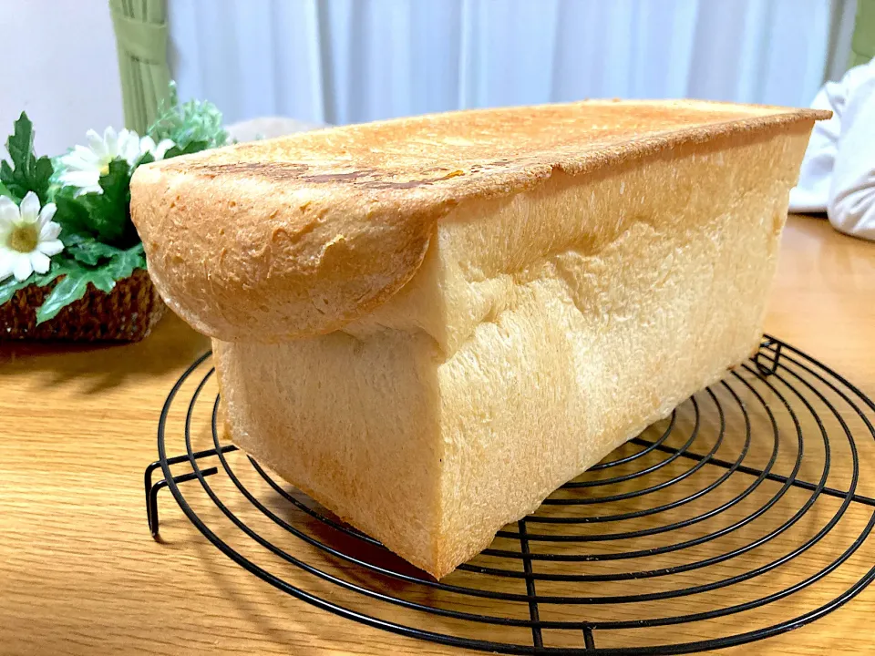 ＊リーゼントな角食🍞＊|＊抹茶＊さん