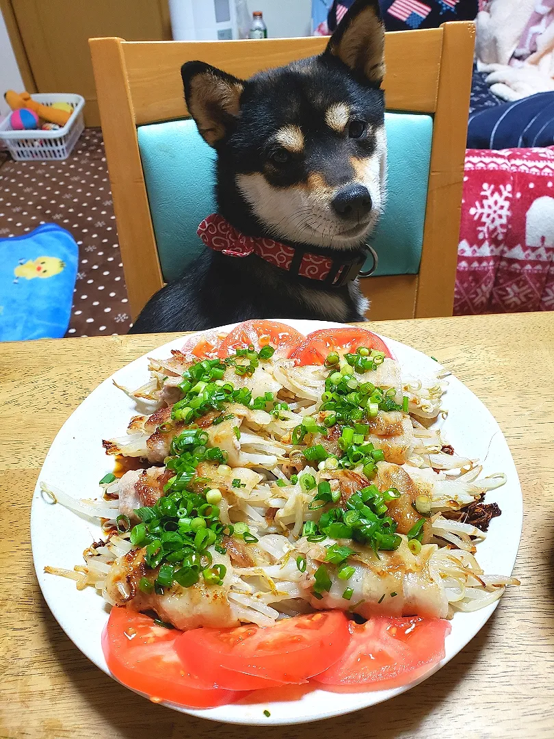 Snapdishの料理写真:もやしの豚バラ巻き|ひぃちゃんさん