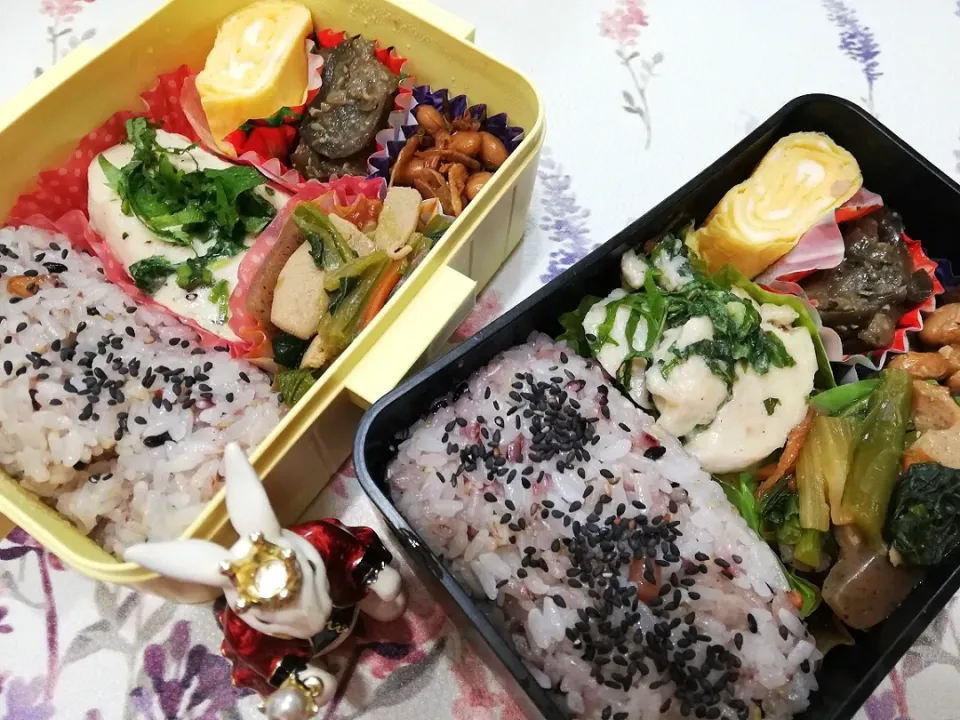 Snapdishの料理写真:'21,1/12
本日のジジババ弁当🍱|たえさん