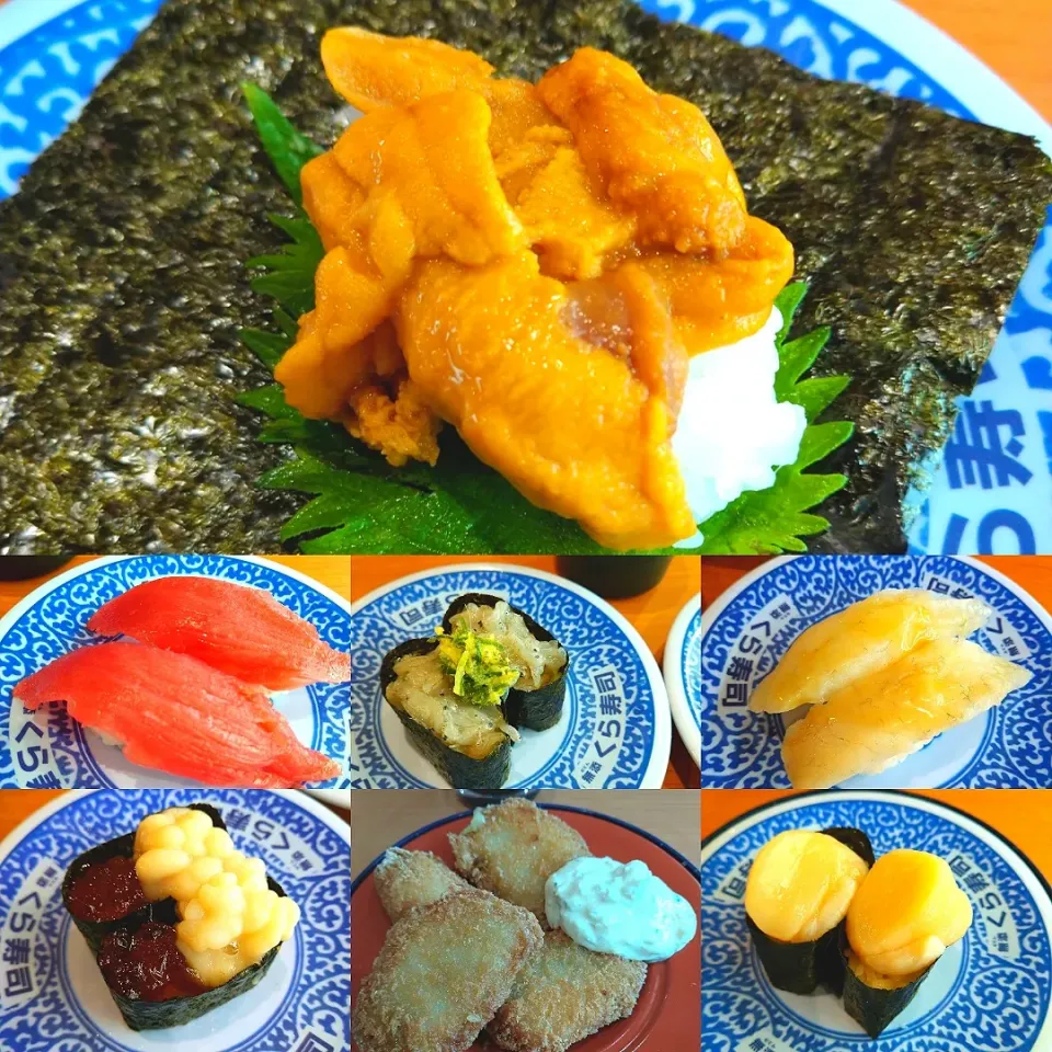 くら寿司🍣ふぐ、ホタテ、うに、鮪、ほっけフライ、たら白子ポン酢、生しらす|うたかた。さん