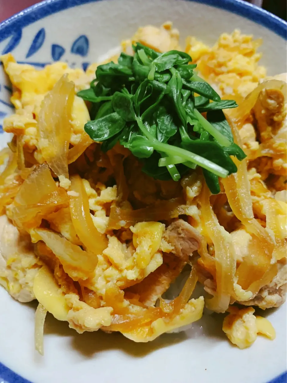 親子丼|🐶たぬとんキッチンさん