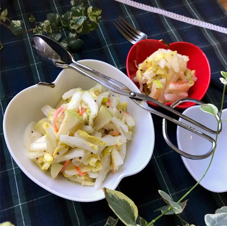 🥬白菜旨し❣️白菜と青リンゴの粒マスタードコールスロー🥗|Hollyさん