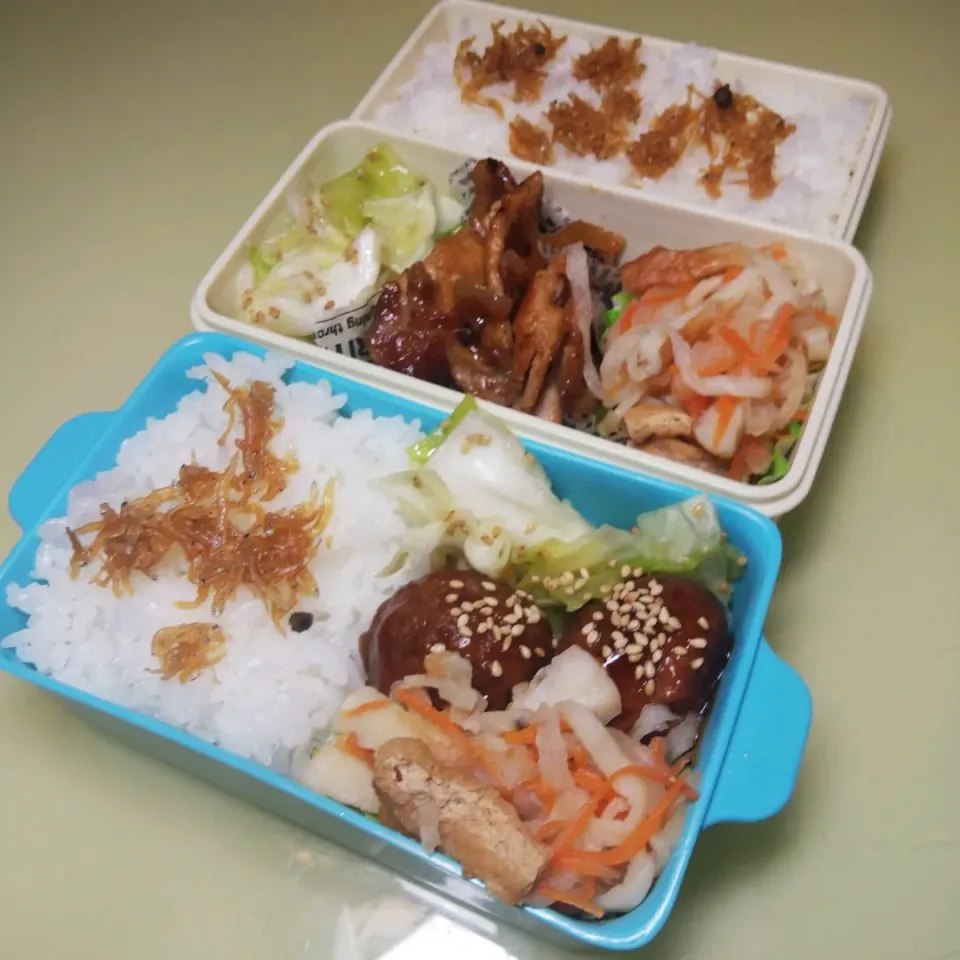 Snapdishの料理写真:1/14 父娘弁当|けろよんさん