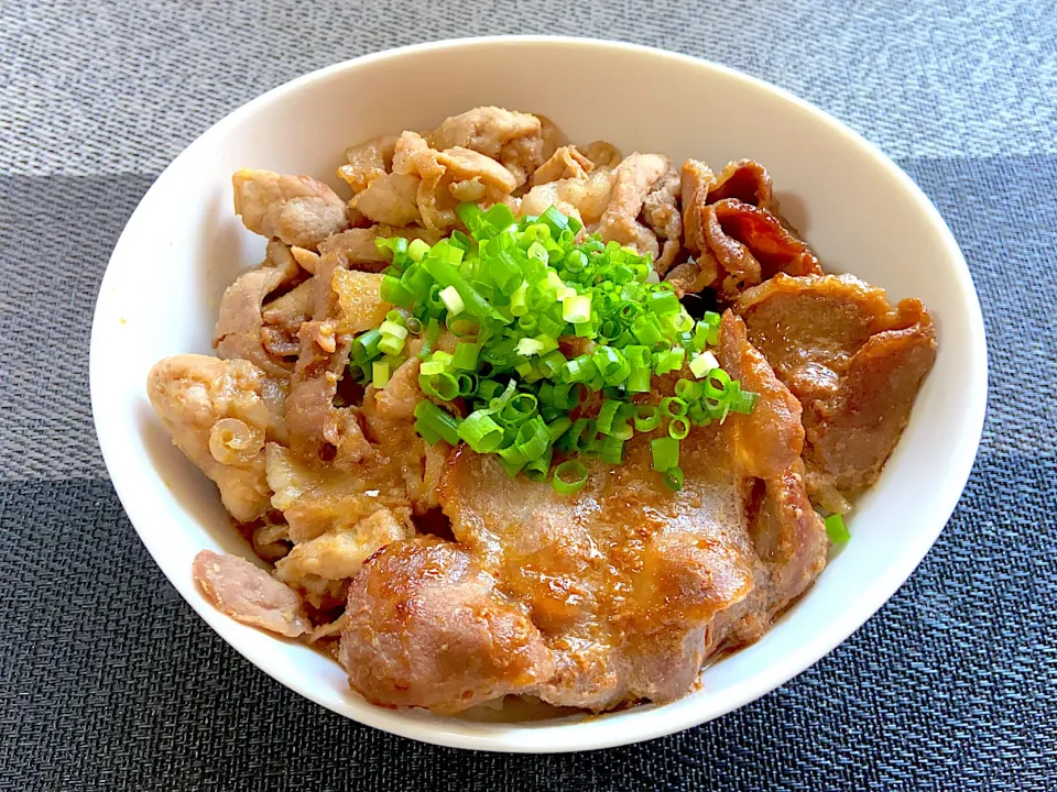 豚丼と豚ジンギスカンのハーフ丼|ママちんさん