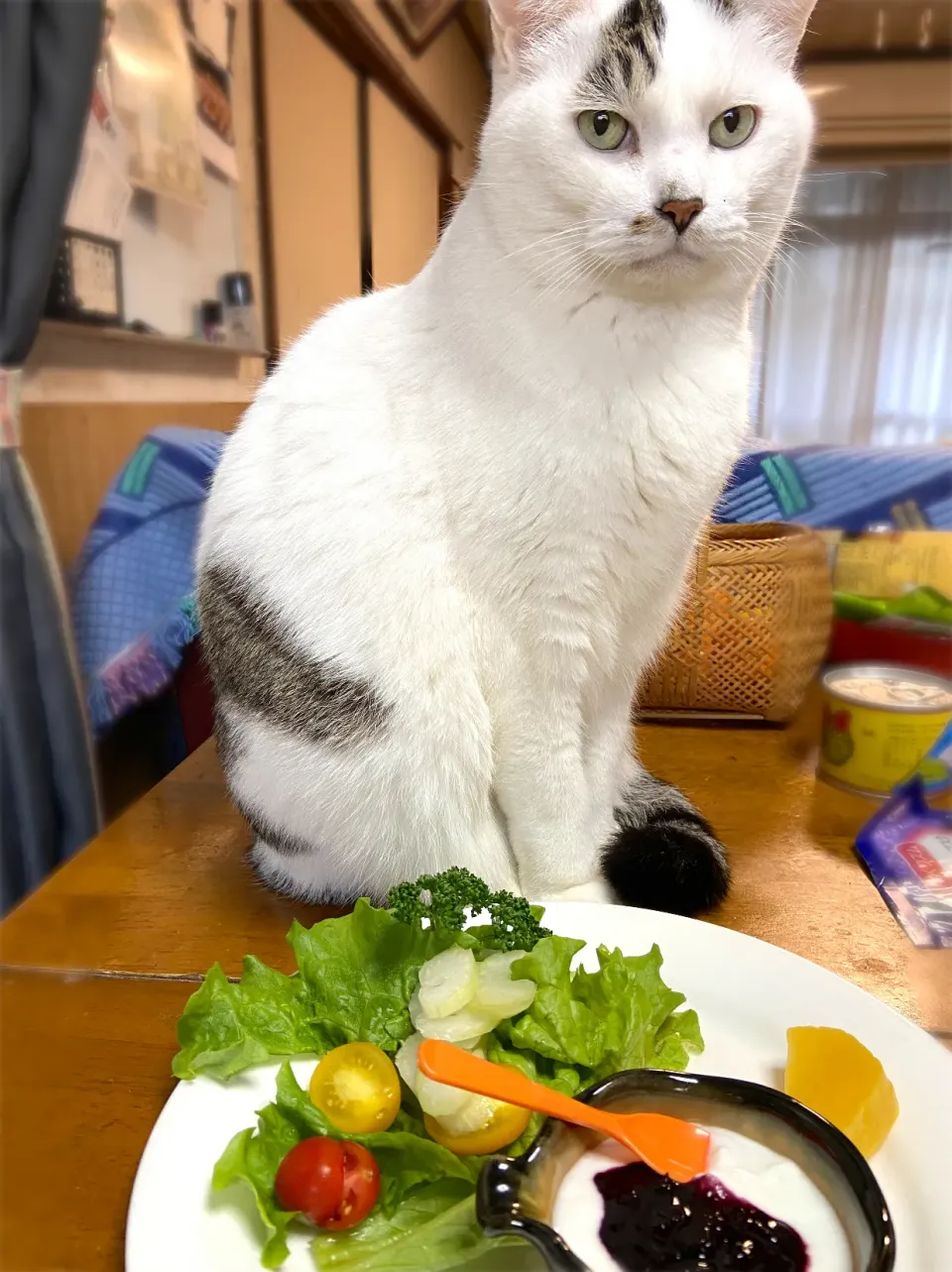 朝ごはん|まゆさんさん