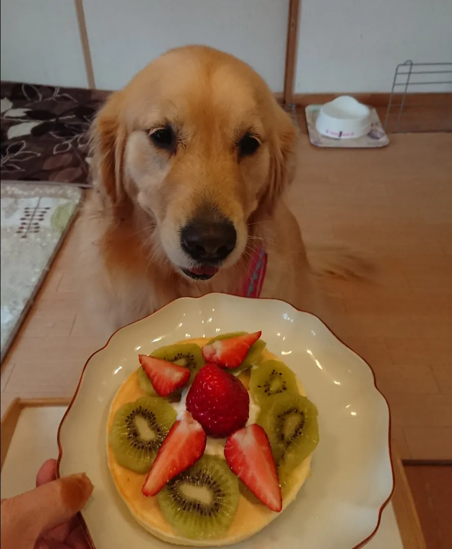 Snapdishの料理写真:パンケーキ🥞|chikakoさん