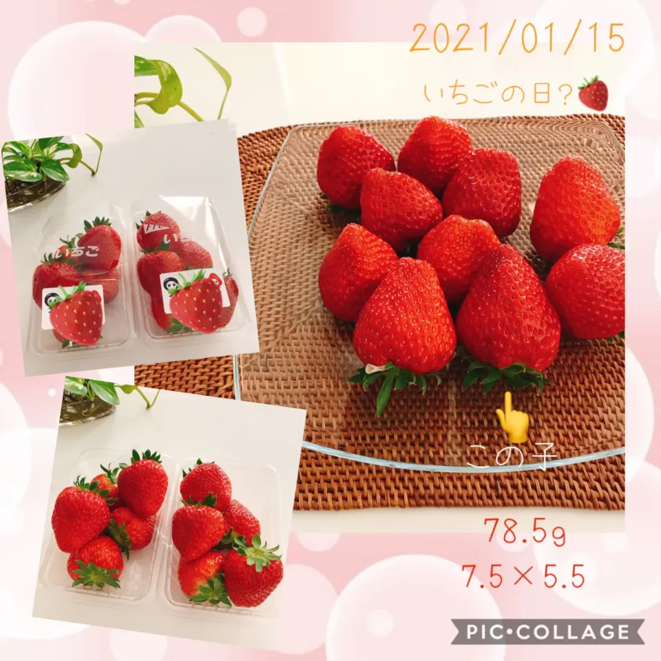 #近くのいちごハウスへGO！#紅ほっぺ🍓#子供の手のひらサイズ|みすてりあすゆっこさん