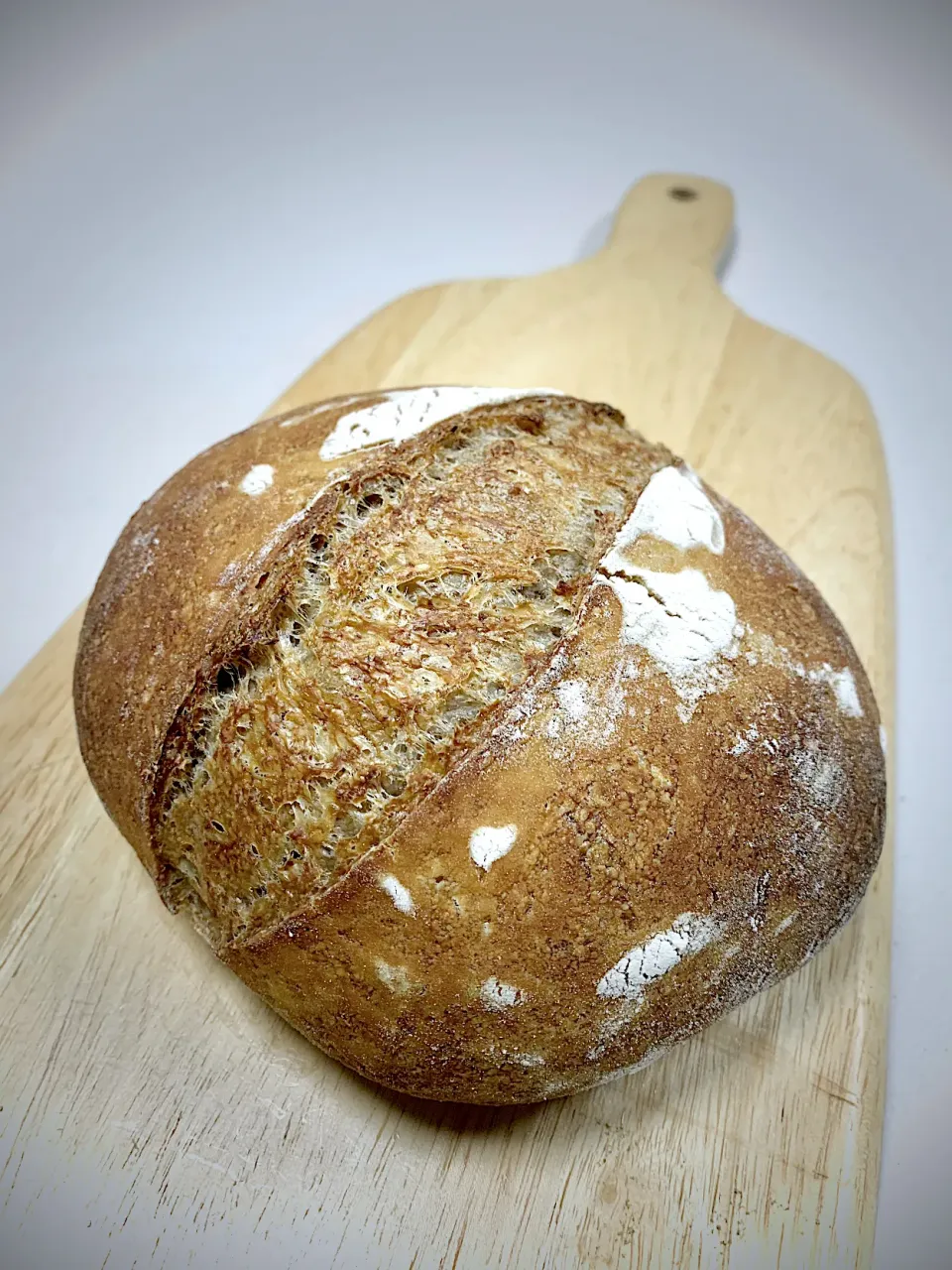 Whole Wheat Sourdough Rustic Bread(pic 1)|gonbenさん