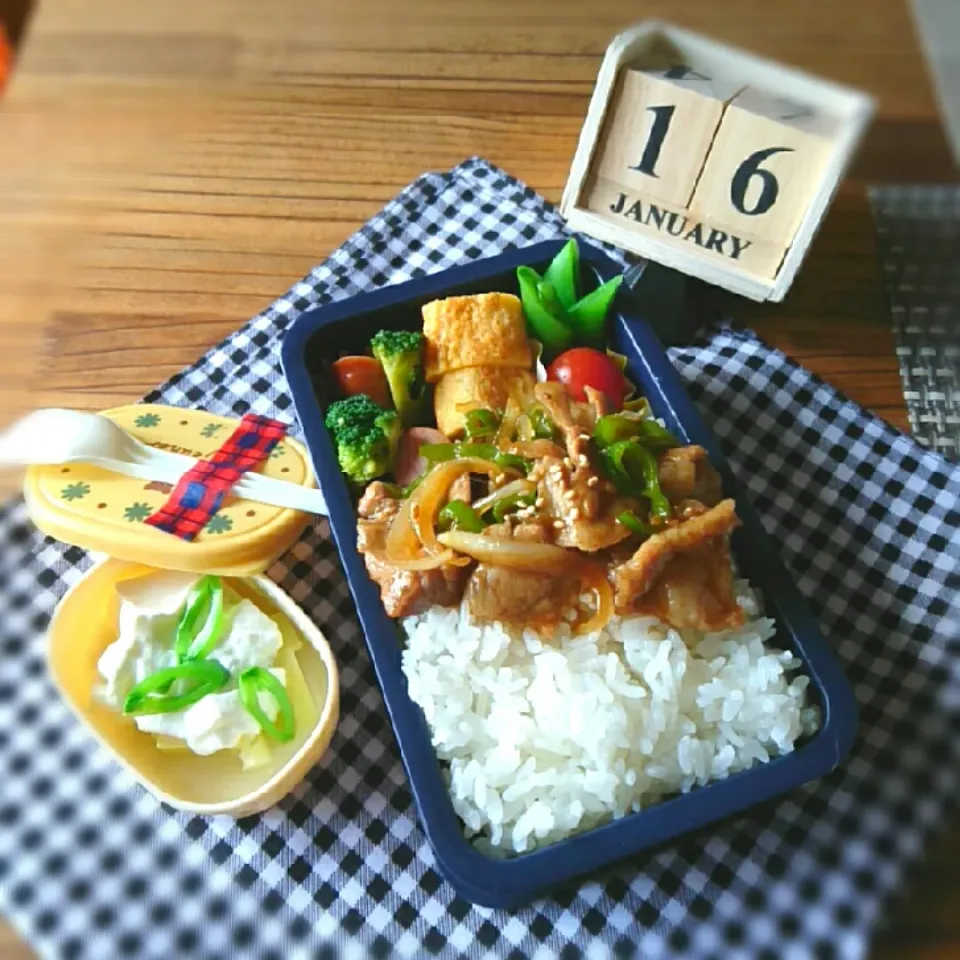 今日のお弁当と犬のお弁当|ふ〜たん**さん