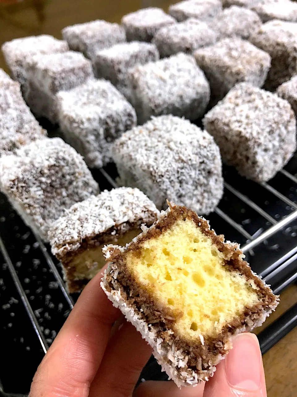 Čupavci🇷🇸 Lamingtons🇦🇺|aястасияさん