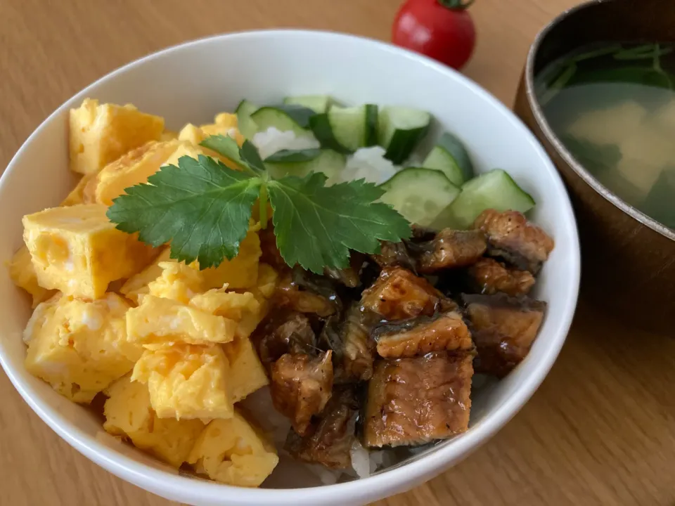 Snapdishの料理写真:＊３色丼（お寿司）＊|＊抹茶＊さん