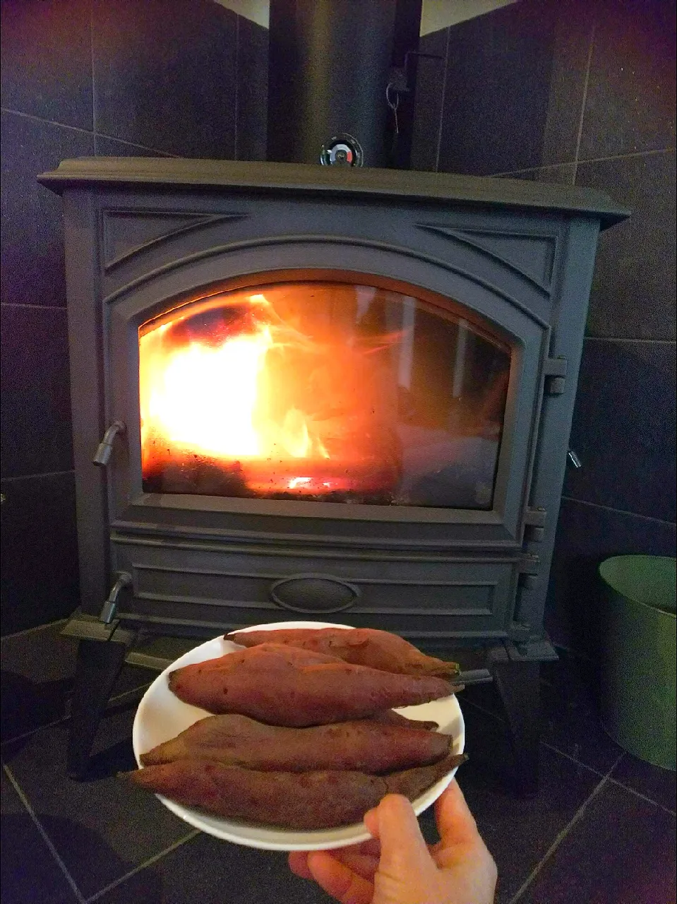 Snapdishの料理写真:薪ストーブで焼きイモ🍠|薪clubさん