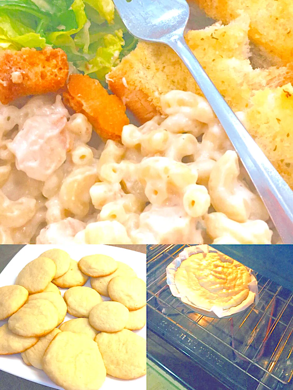 Alfredo chicken Marconi pasta,sugar cookies and a cookie cake|ninja kittyさん