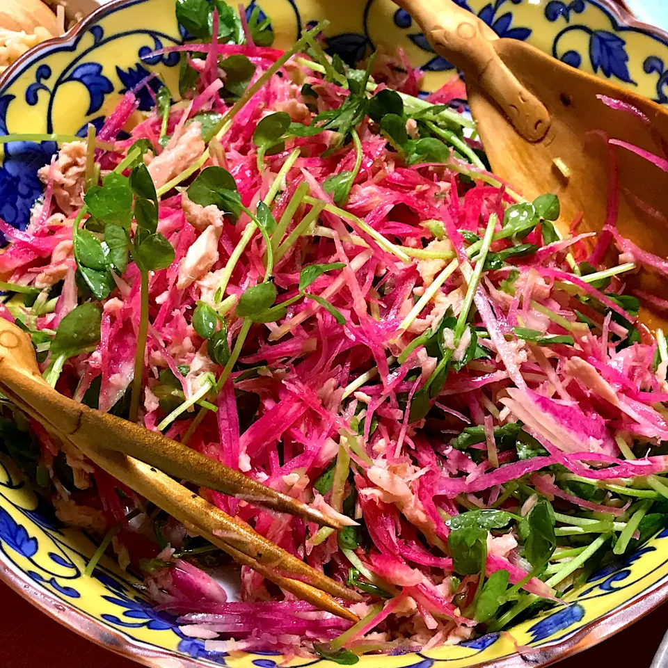 紅芯大根と豆苗のサラダ|ゼニコさん