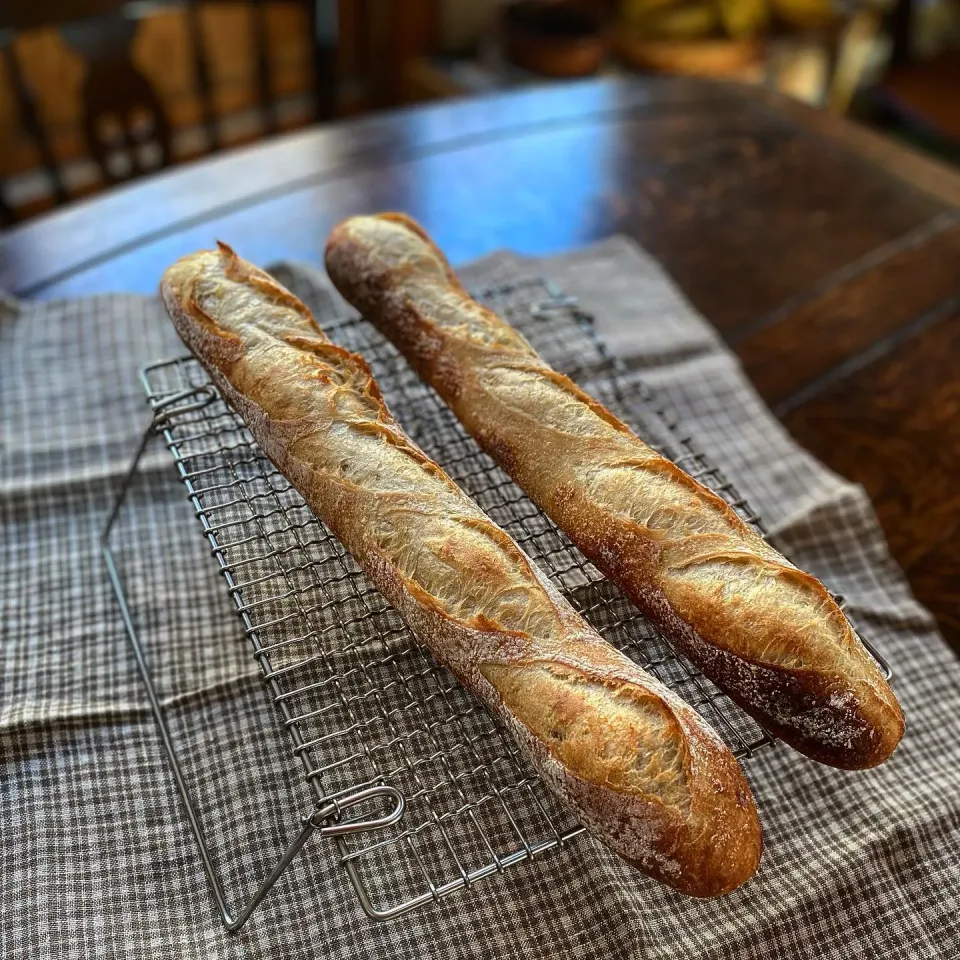 バゲット修行🥖|カンカンさん