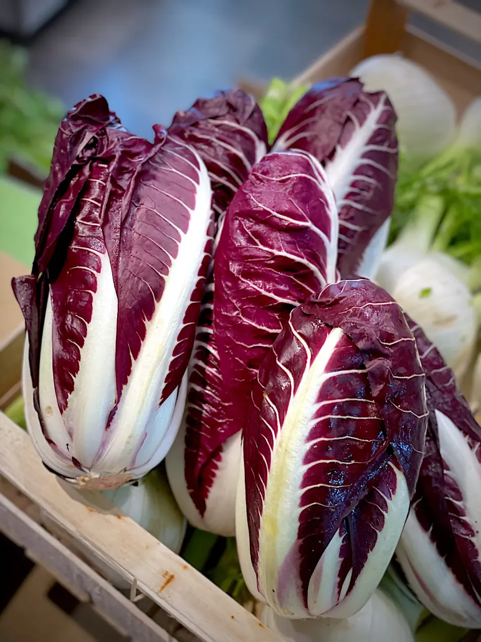 radicchio|hweeyhさん