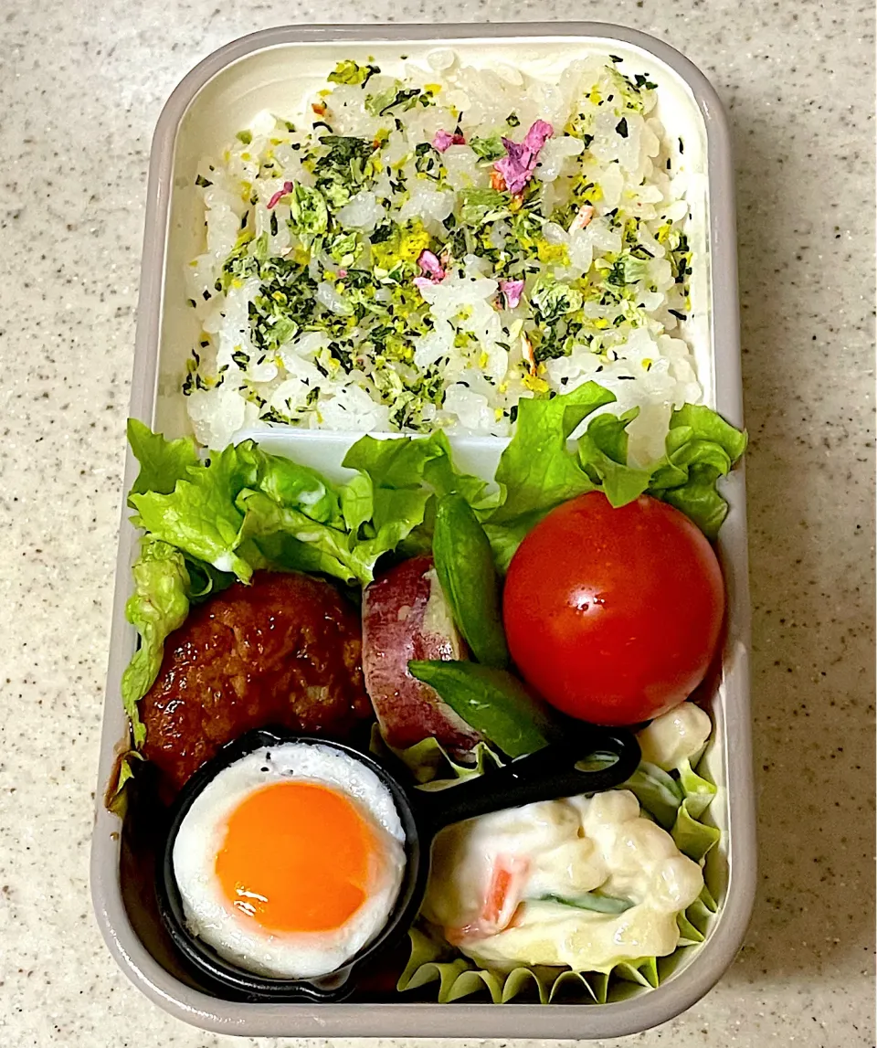 ハンバーグ弁当|besさん