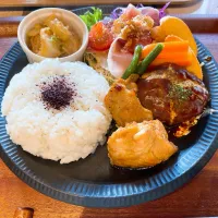 ハーフ＆ハーフ定食(煮込みハンバーグと照り焼きチキン)|やしさん