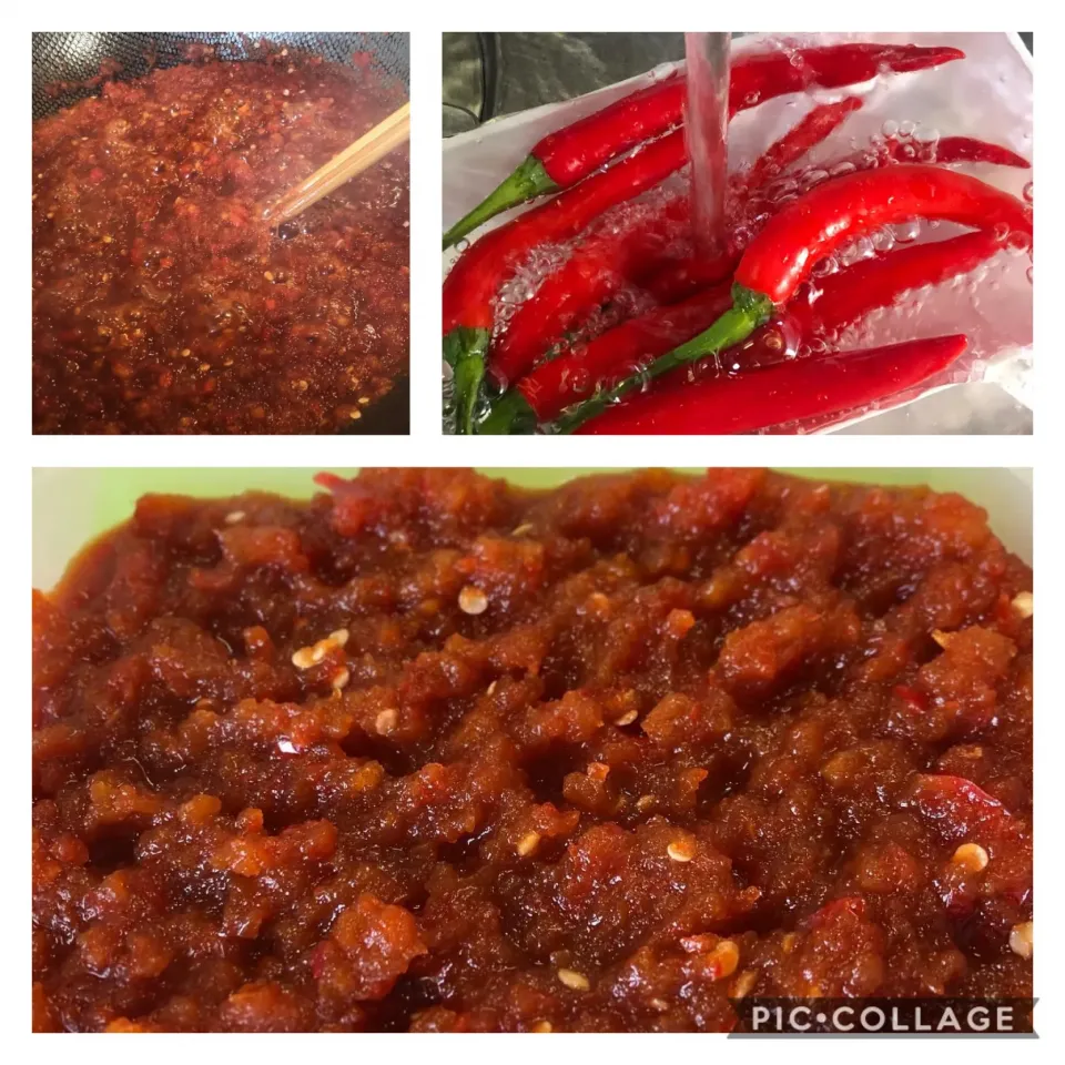 Snapdishの料理写真:Masa, The Cooking Husbandさんの料理 Homemade Pepper Jelly (甘くて辛い🌶手作り唐辛子ジャム)|Yossarianさん