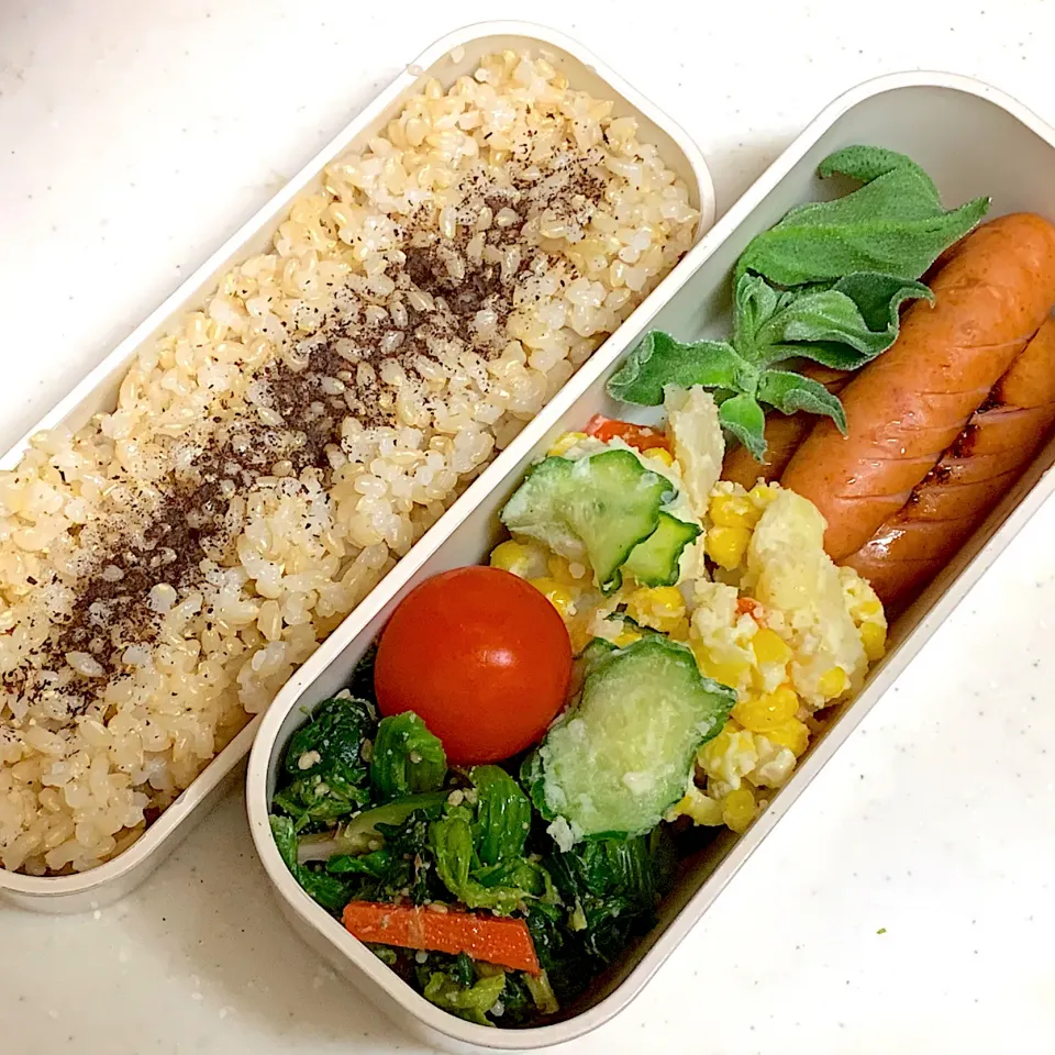 今日のお弁当|Victoryageさん