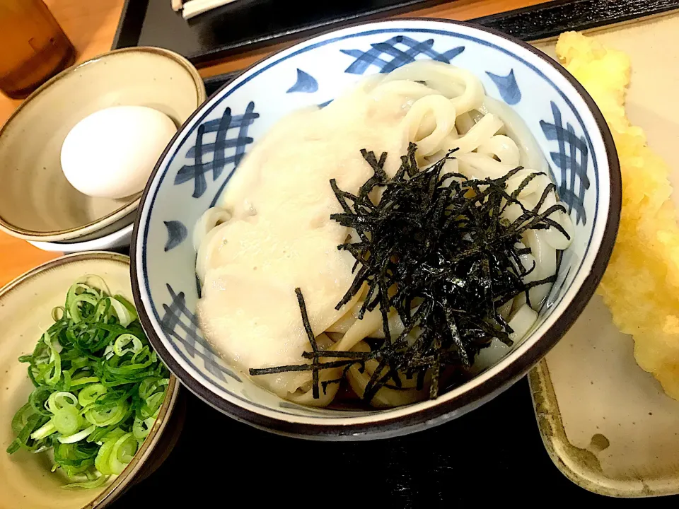 年明けうどん|こぢえさん