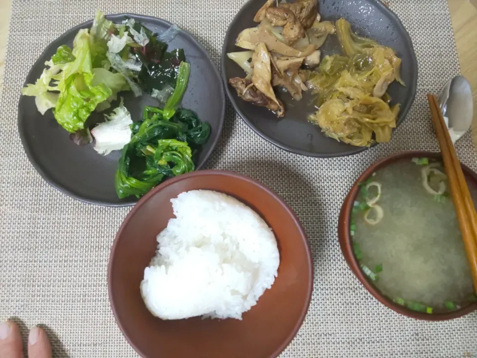 白飯
わかめの味噌汁
豚と玉ねぎと舞茸とエリンギの炒め
キャベツと玉ねぎの炒め蒸し
ほうれん草の塩ゆで
ちぎりレタスの海藻サラダ|あぎふぁんさん