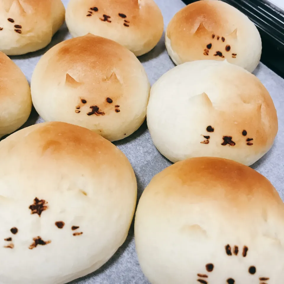 Snapdishの料理写真:はじめての手ごねパン|Kさん