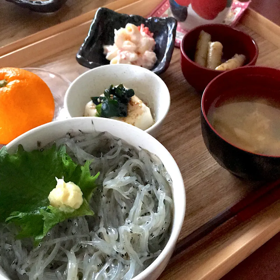 しらうお丼でお昼ごはん|mokoさん