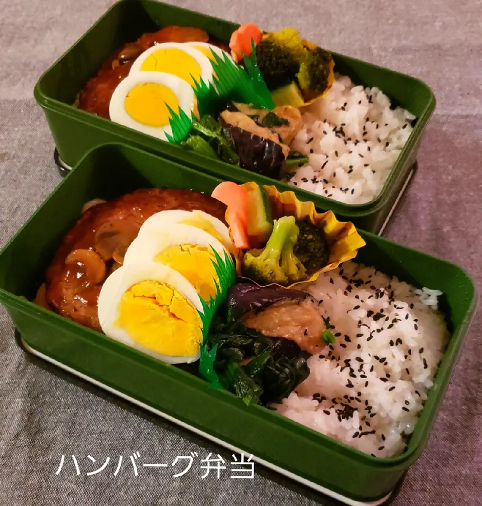 わが家の働く男弁当
ハンバーグ弁当…|kimikimi❤kitchenさん