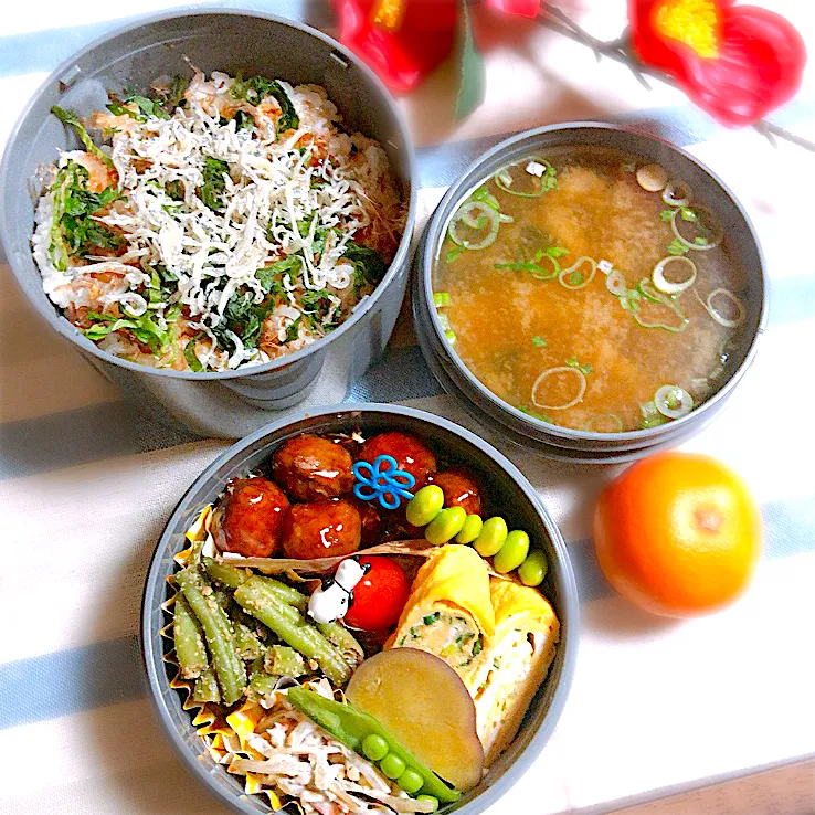 雨の日のあったかいお弁当。|さとみこさん