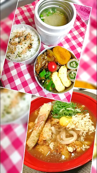 Snapdishの料理写真:夜ご飯＆夫弁当🍱|pinoさん