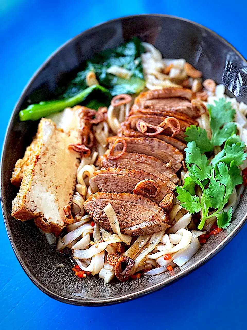 Chinese braised duck noodles|12Dragonさん