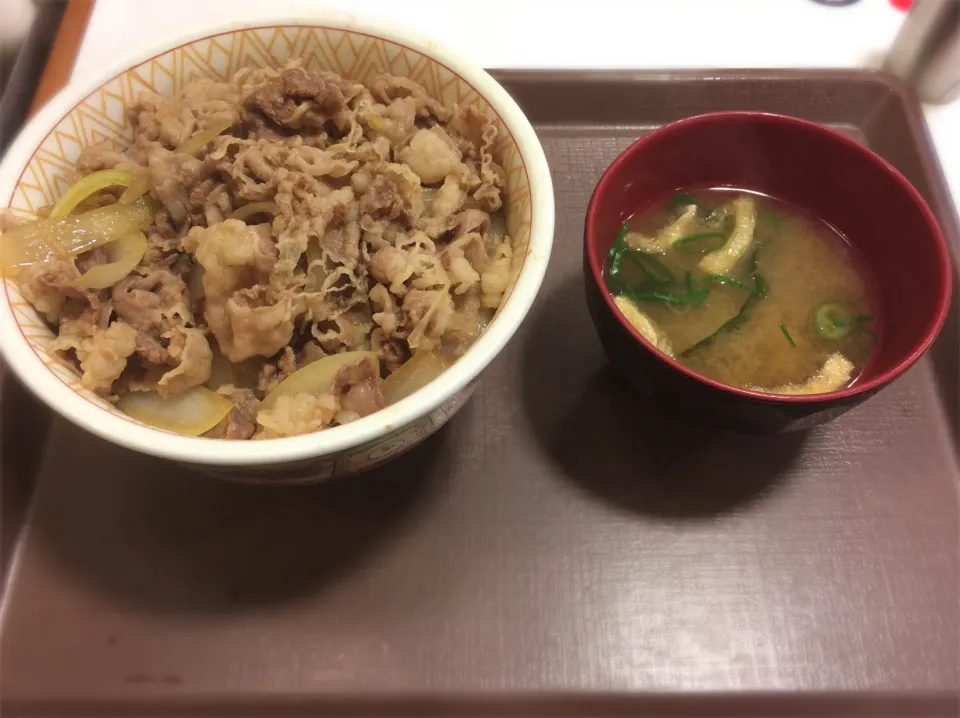 すき家の牛丼|haruさん