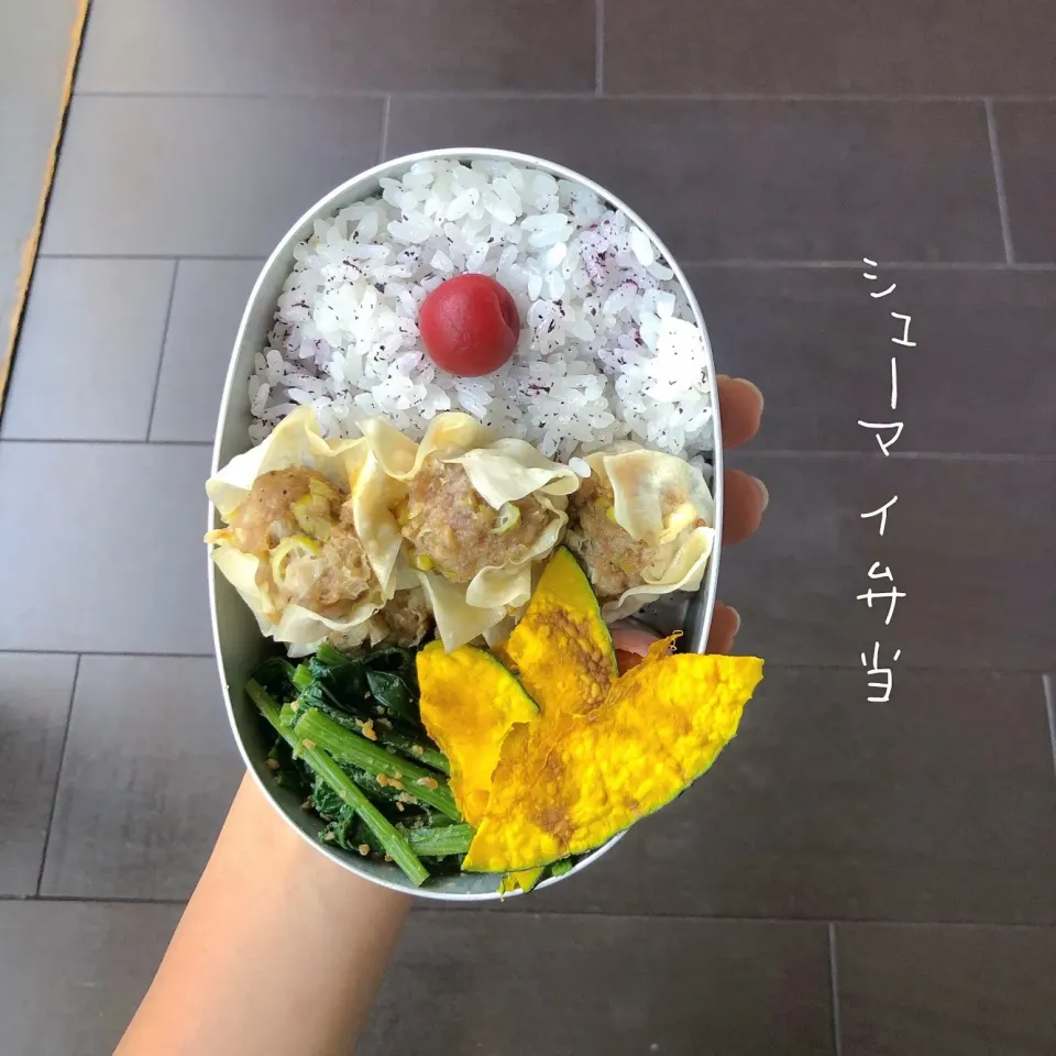 シューマイ弁当|ひなたさん