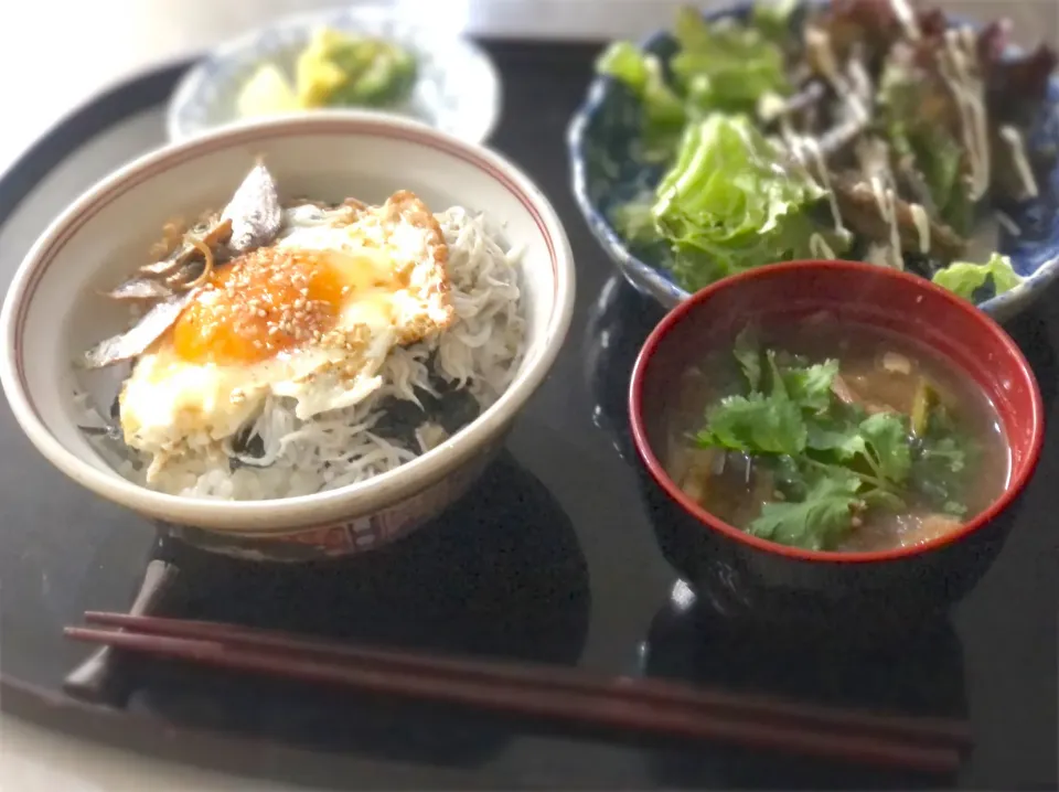 釜揚げしらす丼♪|ちーちさん