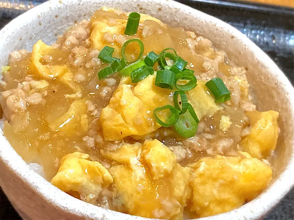 挽肉と玉子の甘酢餡かけ丼|ガラクタさん