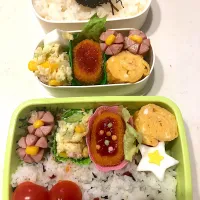 年中男子のお弁当|サニーさん