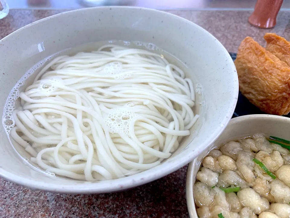 天領うどん|ぶりっとさん