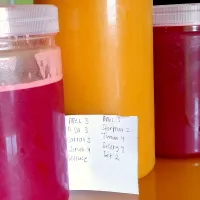 Snapdishの料理写真:Daily cold pressed juice.
#deojus_kitchen|Ciciliaさん