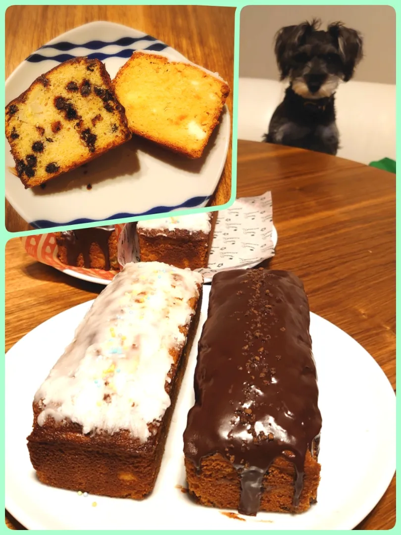 Snapdishの料理写真:お庭で出来た柚子のピールとクリームチーズのパウンドケーキと旦那さんが好きなチョコバナナのパウンドケーキ！|Ikuyo Hasegawaさん