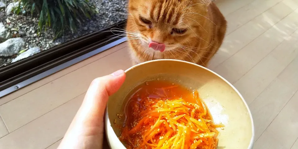 ニンジンをかんたん酢につけました🥕|さくらんぼさん