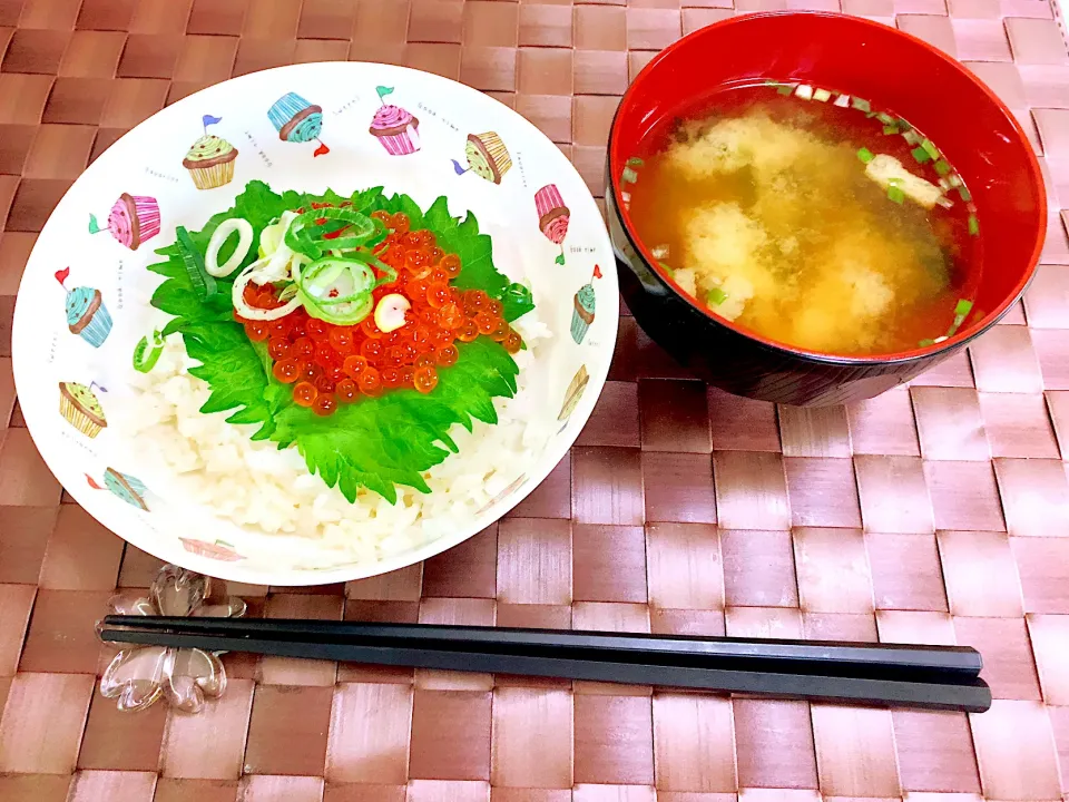 2021/01/30 お昼ご飯|愛華さん