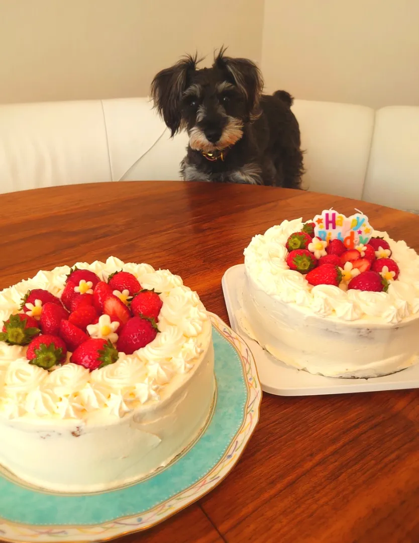 お友達のお誕生日ケーキ!いちごが可愛い〜(⁎˃ᴗ˂⁎)♡|Ikuyo Hasegawaさん