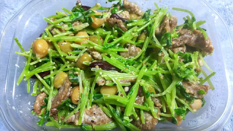 大豆ミートの豆苗サラダ|vege食堂さん