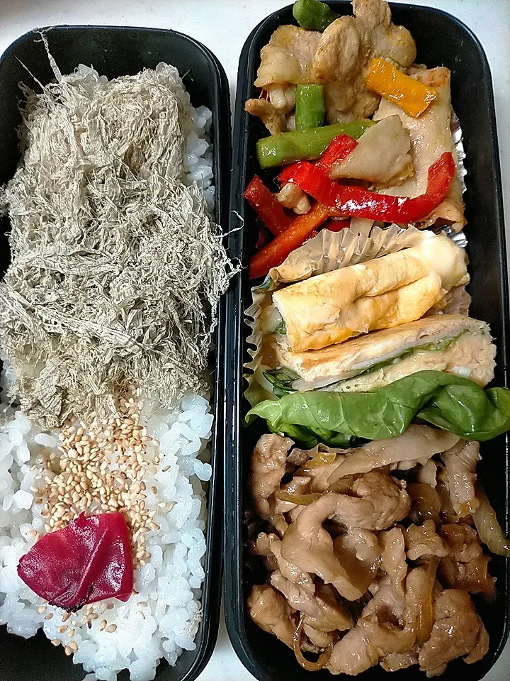 Snapdishの料理写真:しょうが焼き弁当
★アスパラ・パプリカ・豚肉カレー粉炒め
★サラダ菜・ハム・チーズ卵焼き|芽亜里さん