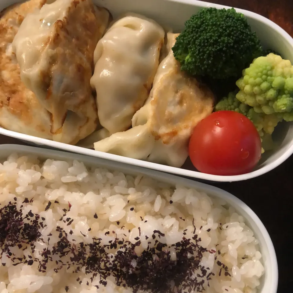 餃子弁当|charinkoqさん