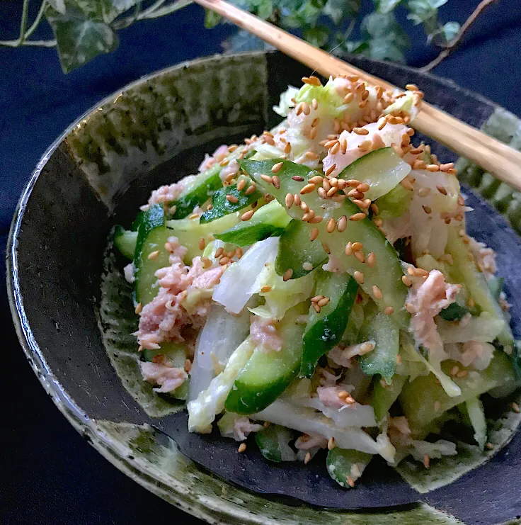 Snapdishの料理写真:🥬🥒あと一品❗️にもおすすめ👌白菜と胡瓜の和風ツナサラダ🥗🐟|Hollyさん