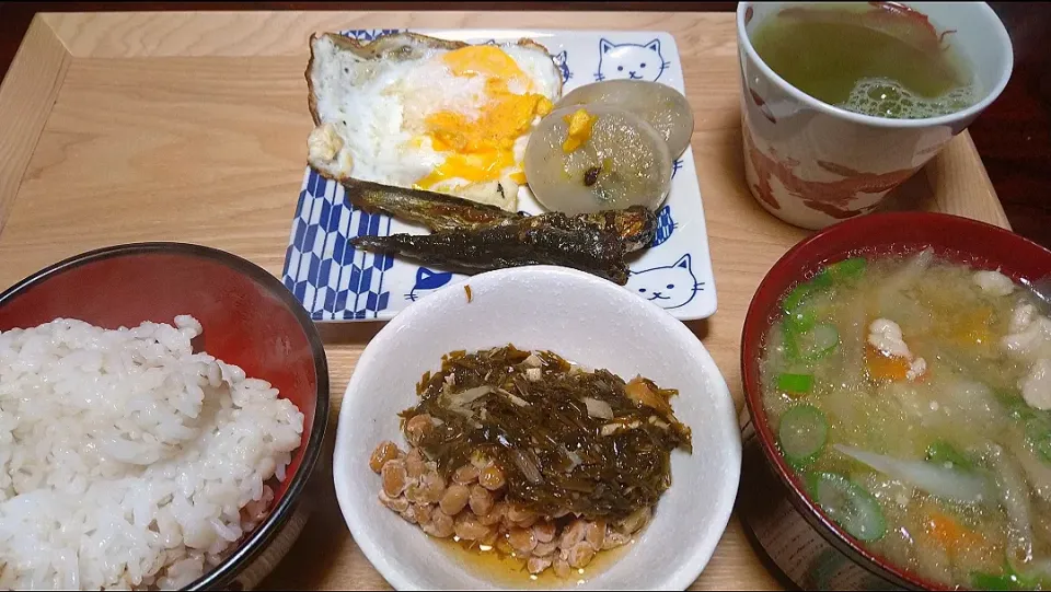 ２月３日の朝ごはん
･目玉焼き
･ニラ饅頭
･イワシの甘露煮
･ギバサ納豆
･豚汁
･押麦ごはん|田舎暮らしごはんさん