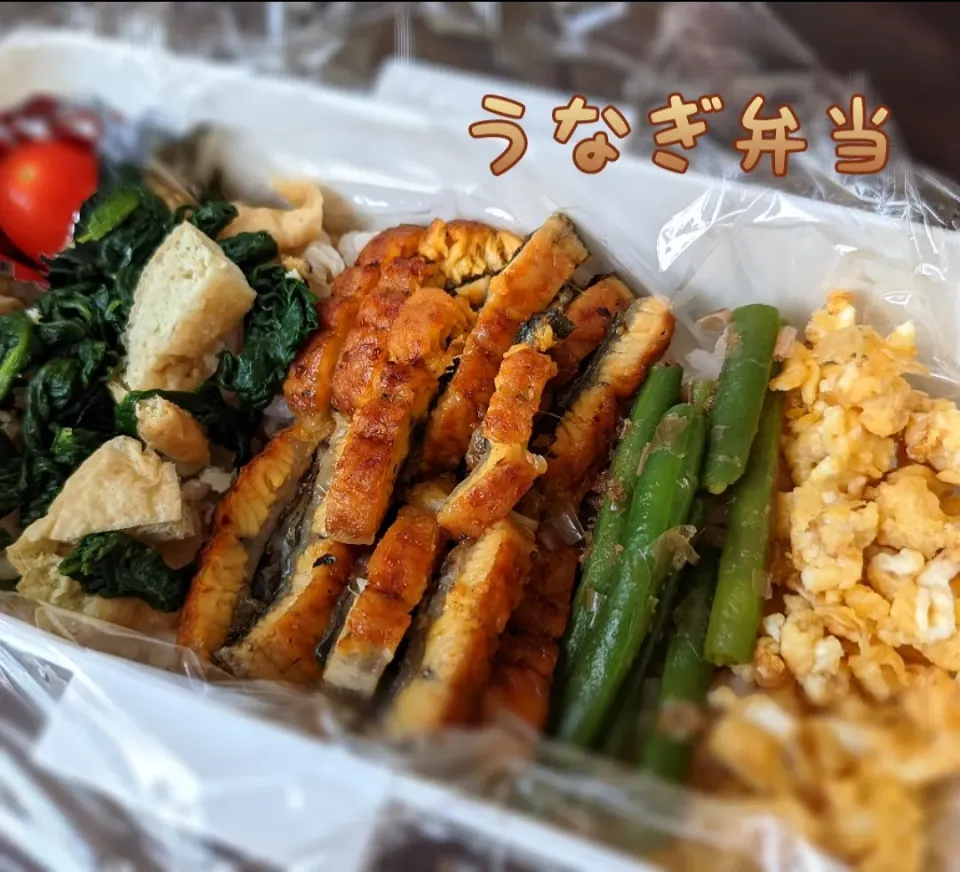 Snapdishの料理写真:うなぎ弁当|Yasuko's Dayさん