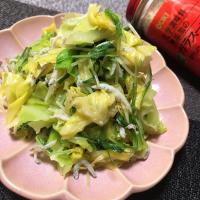 キャベツとしらすのお浸し